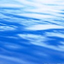 �����Ļ������