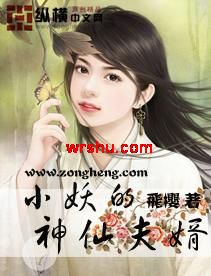 С�������ɷ�������