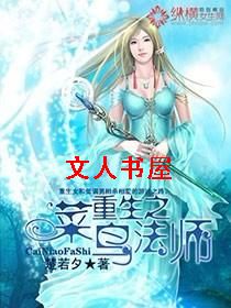 ����֮����ʦ