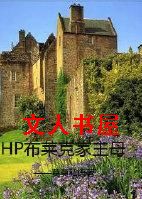 HP�����˼���ĸ