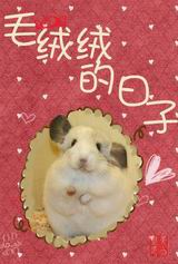 [����]ë���޵����ӷ���