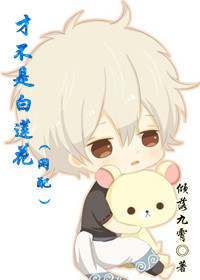 �Ų��ǰ�����(����)����