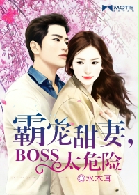 �۰�����,boss̫Σ�շ���