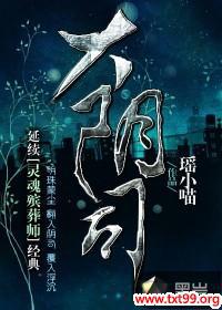 ����˾����