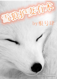 ѩ�ǻ�����������