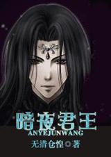 暗夜君王 耽美+无赦系列封面