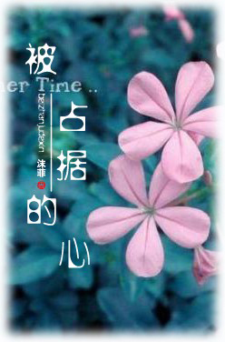 ��ռ�ݵ���