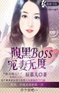 ����Boss�����޶�